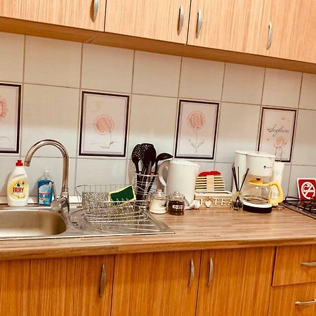 Ultracentral Apartment With All You Need: Wifi, Tv, Ac, Washer, Coffe Timişoara Extérieur photo