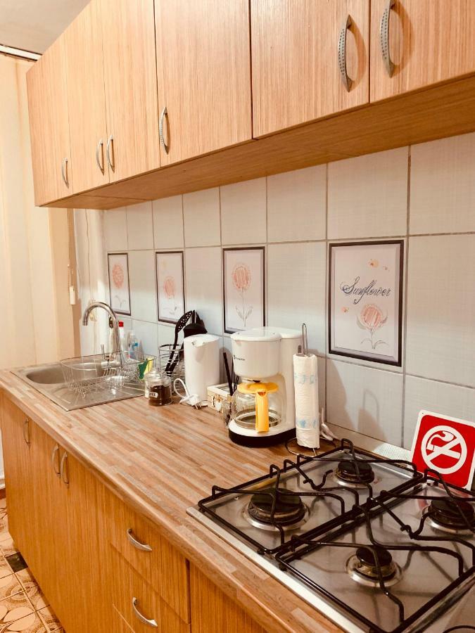 Ultracentral Apartment With All You Need: Wifi, Tv, Ac, Washer, Coffe Timişoara Extérieur photo