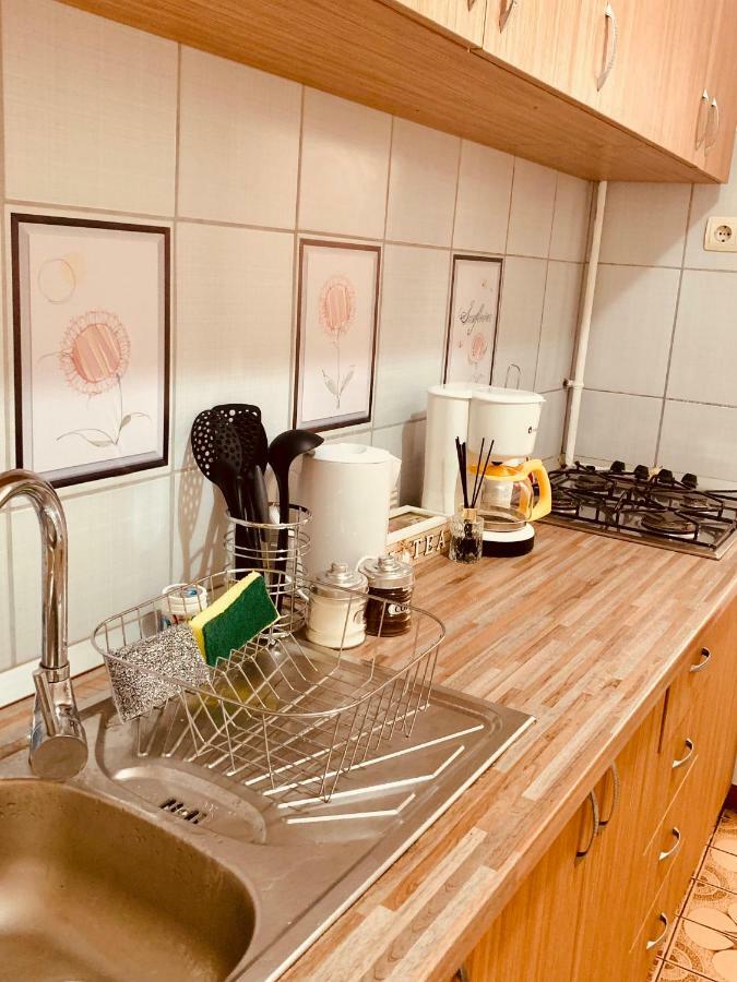 Ultracentral Apartment With All You Need: Wifi, Tv, Ac, Washer, Coffe Timişoara Extérieur photo