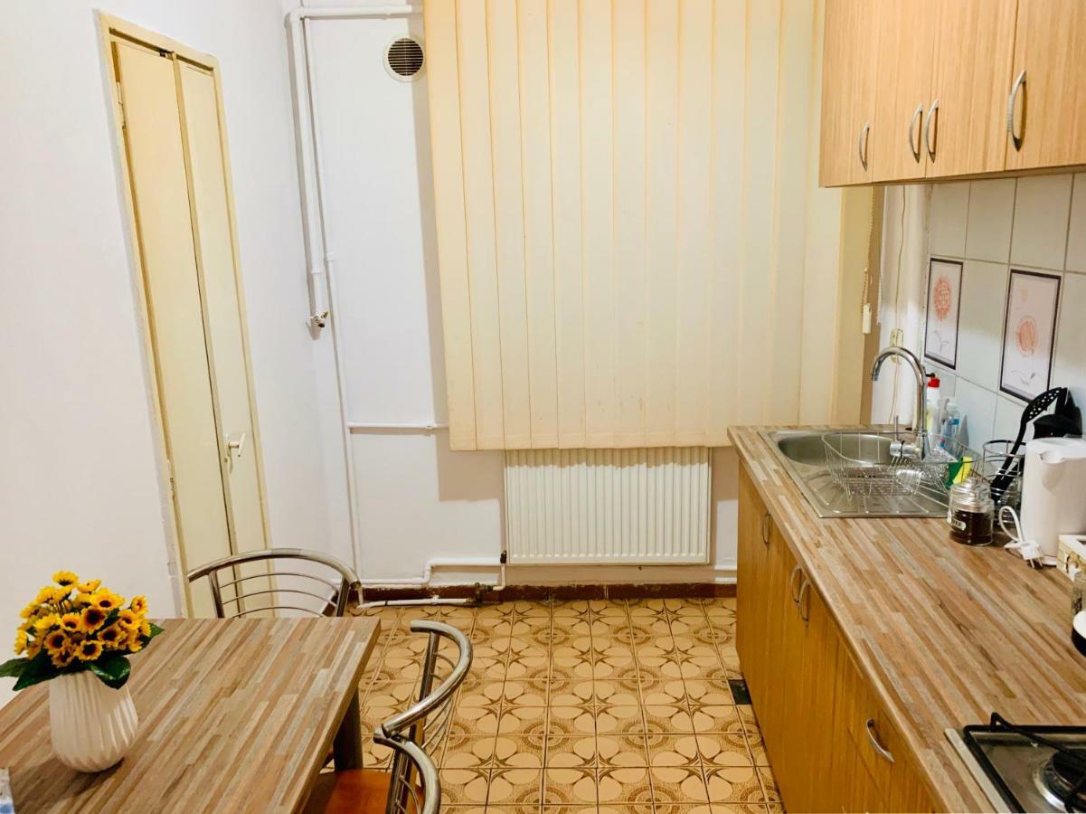 Ultracentral Apartment With All You Need: Wifi, Tv, Ac, Washer, Coffe Timişoara Extérieur photo