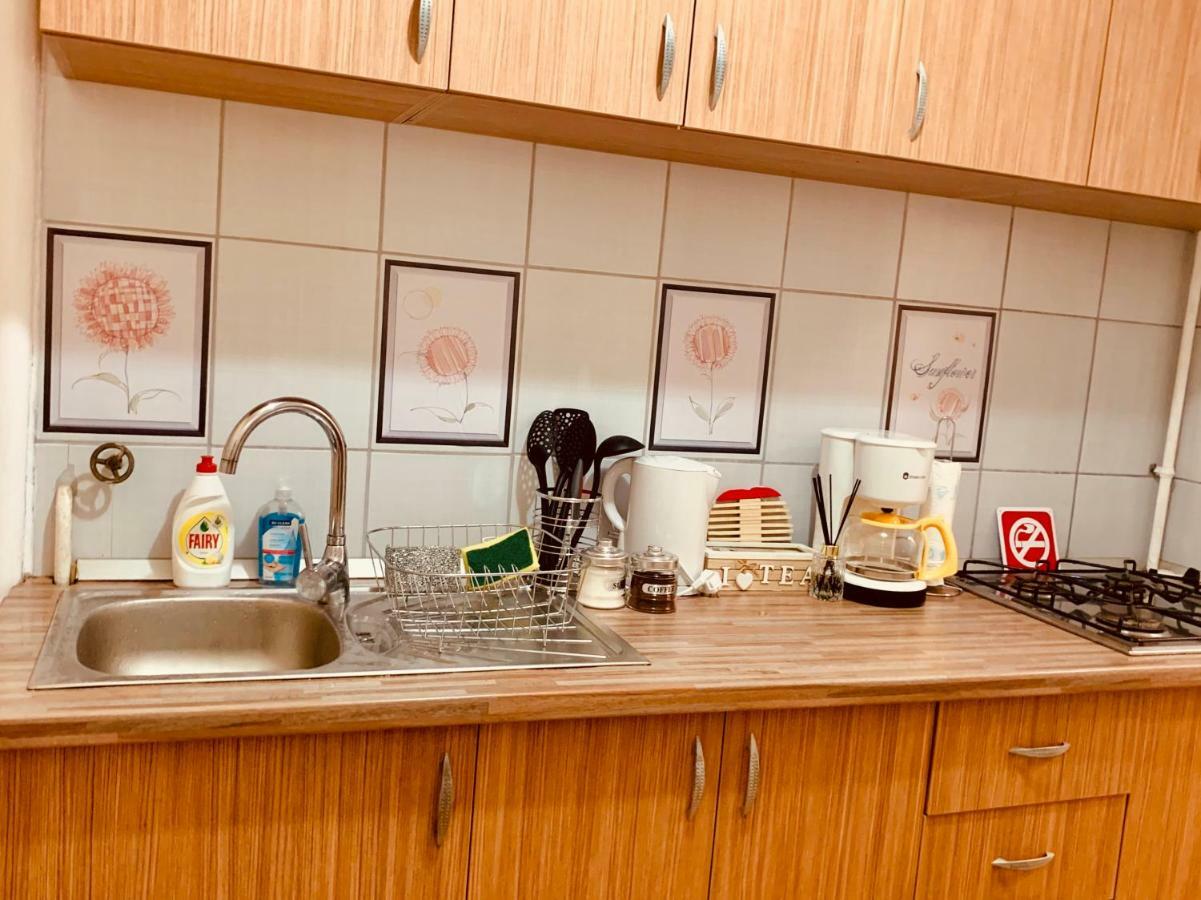 Ultracentral Apartment With All You Need: Wifi, Tv, Ac, Washer, Coffe Timişoara Extérieur photo