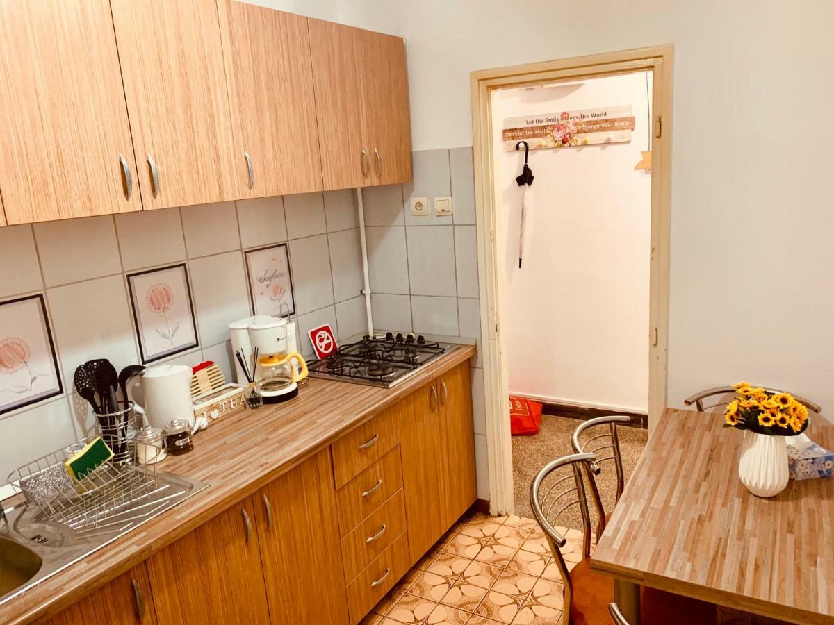 Ultracentral Apartment With All You Need: Wifi, Tv, Ac, Washer, Coffe Timişoara Extérieur photo